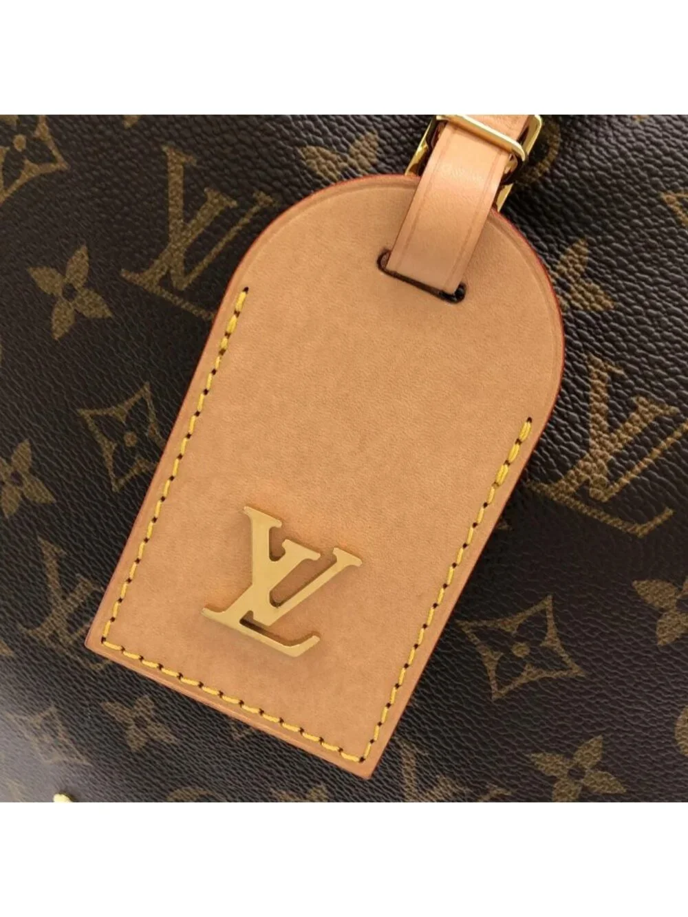 Louis Vuitton Monogram Atlantis GM